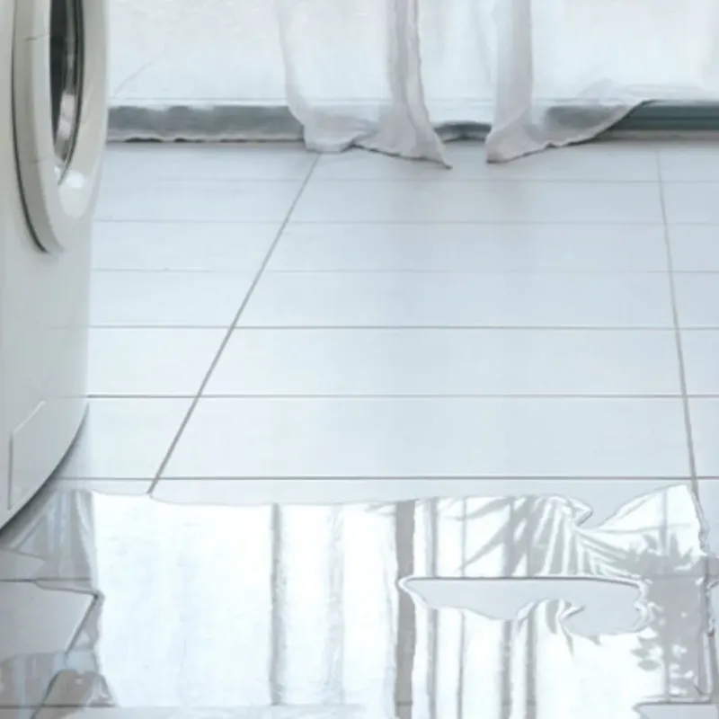 Appliance Leak Cleanup in Russell County, KY