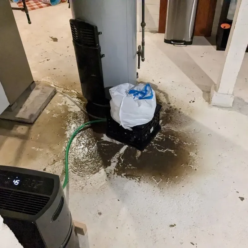 Sewage Backup Cleanup Service in Russell County, KY